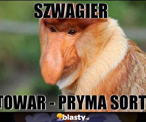 Memy na Dzień Szwagra 