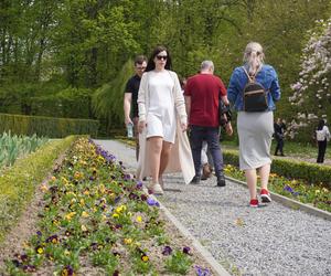 Ogród Botaniczny w Lublinie