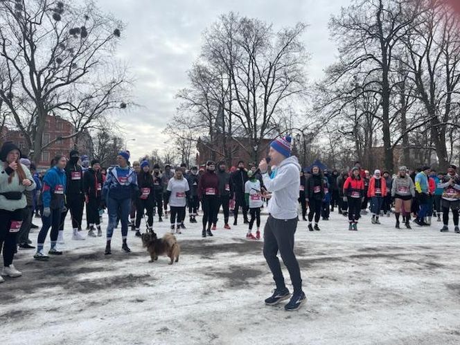 Pączek Run