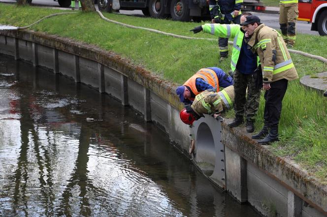 Powódź w Gdańsku. Strażacy mieli ręce pełne pracy