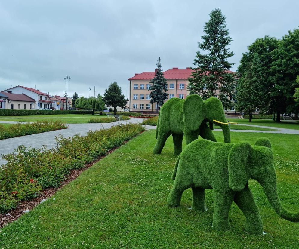 Zielone słonie w Janowie Lubelskim
