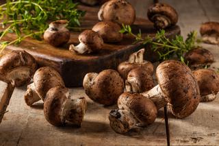 Pieczarki portobello: co to za grzyby? Czym się różnią od zwykłych pieczarek? [WIDEO]