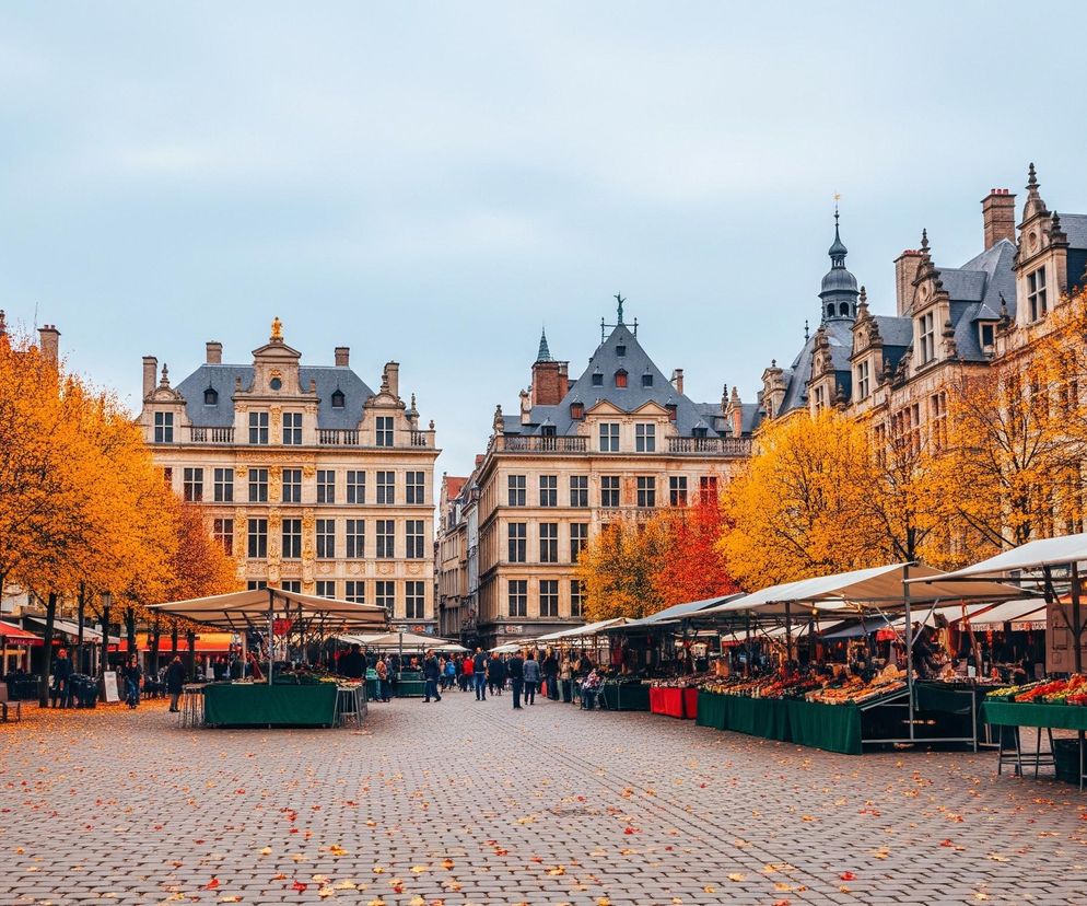 Szeroki widok ukazuje brukowany plac miejski otoczony zabytkowymi budynkami i drzewami o intensywnie jesiennym ulistnieniu. Po obu stronach placu rozciąga się rząd zadaszonych stoisk targowych, oferujących świeże produkty, takie jak warzywa i owoce, z widocznymi ludźmi spacerującymi i kupującymi. Liście w odcieniach czerwieni i pomarańczy dominują w koronach drzew, a także są rozsypane na szarym bruku, tworząc jesienny krajobraz. Ponad dachy budynków wznosi się jasne, zachmurzone niebo.