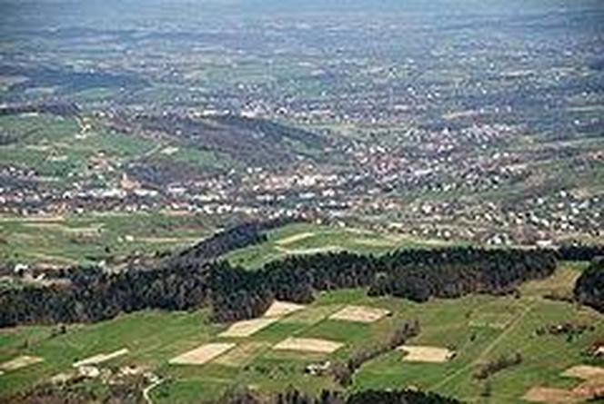 4. Grybów