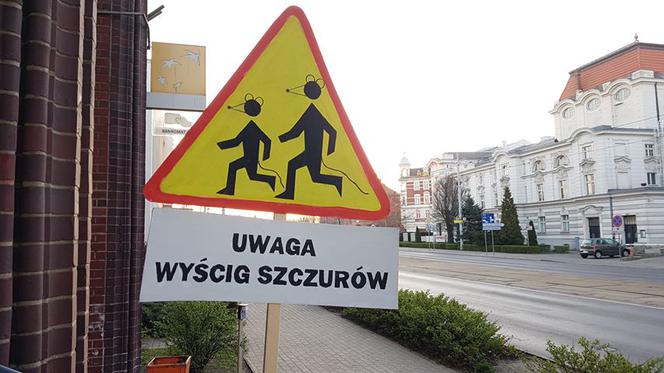 Dziwne znaki pod sądem i bankiem w Toruniu