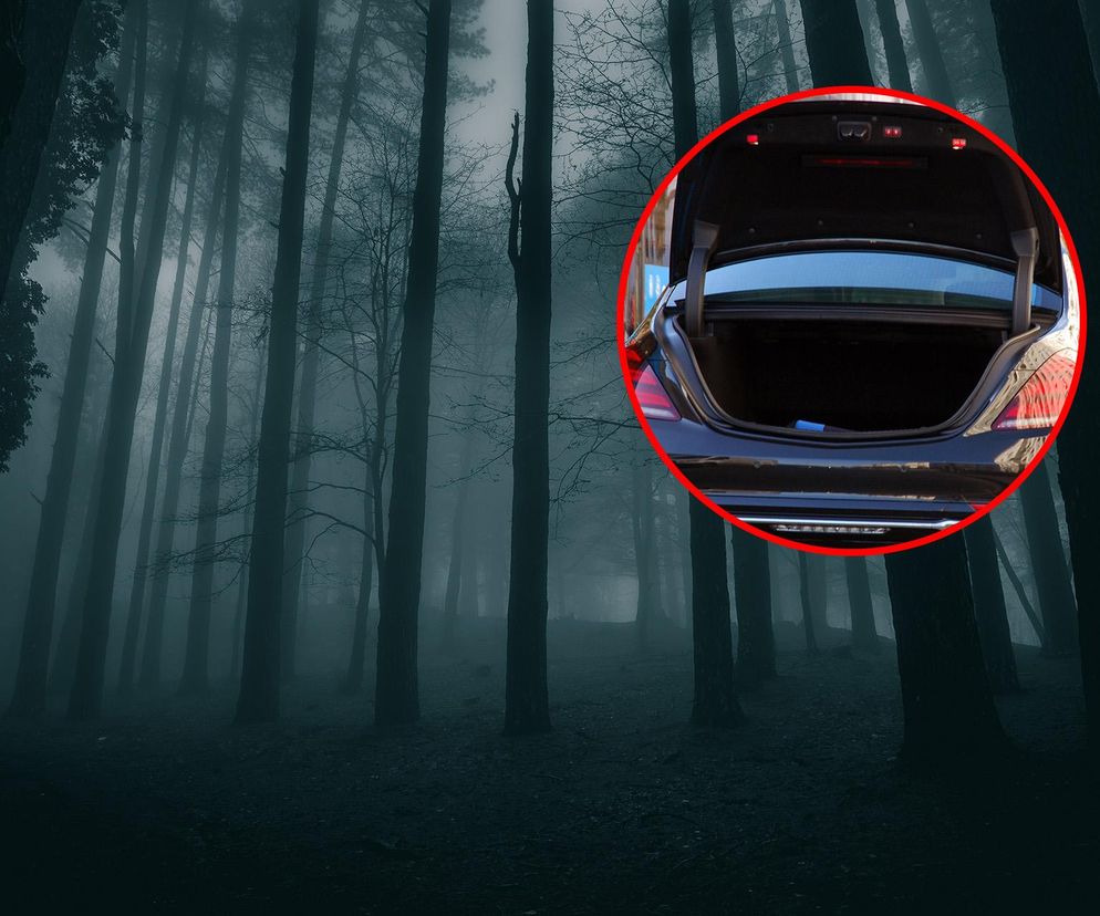 Horror nad jeziorem! 33-latek porwany, pobity i okradziony. Czterech mężczyzn zatrzymanych