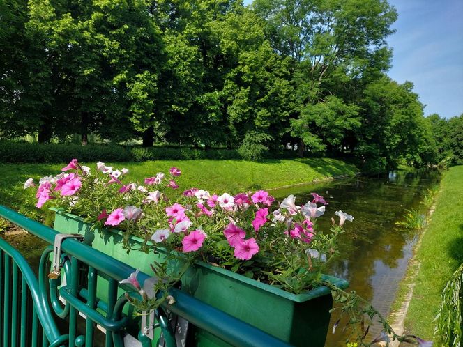 Park Miejski w Zamościu
