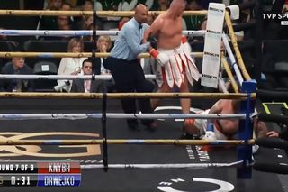 Brutalny nokaut Polaka. Damian Knyba ściął z nóg rywala! [WIDEO]