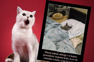 Memy o zwierzętach podbijają internet. Śmieje się z nich cała Polska