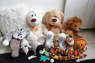 Ślązacy oddają za darmo