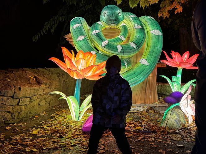 Garden of Lights we Wrocławiu