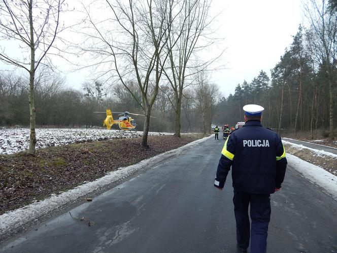 Tragedia podczas wycinki drzew w powiecie radziejowskim! Nie żyje jeden mężczyzna! [ZDJĘCIA]