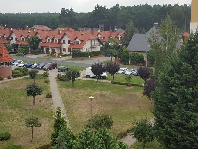 Na osiedlu Rejtana w Lesznie pojawiły się nowe tabliczki – „Zakaz gry w piłkę” 