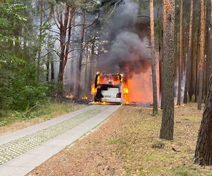 Pożar autobusu z przedszkolakami w Wielkopolsce! W pojeździe było 44 dzieci i 5 opiekunów