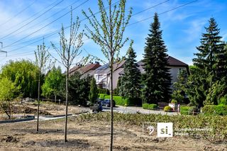 Niemiła niespodzianka w nowym parku