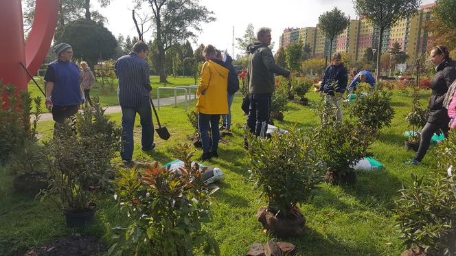 Pastwisko dla koni w Sosnowcu