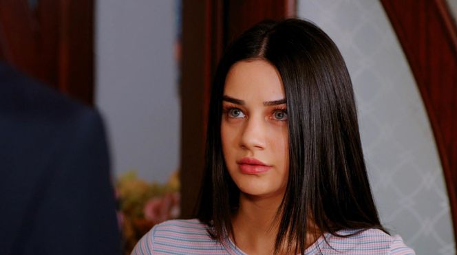 Miłość i nadzieja odc. 271. Bahar, Kuzey