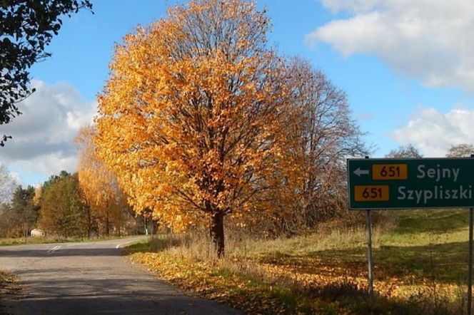 O tym miejscu na Podlasiu słyszano już w XVIII wieku! Dziś skojarzą ją tylko fani tej gry