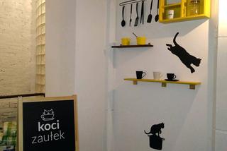 Katowice: Pierwsza na Śląsku Kocia Kawiarnia działa już trzy tygodnie! [ZDJĘCIA]