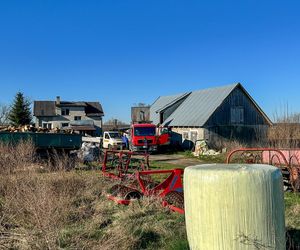 Potworny los zwierząt w Idzbarku. To była umieralnia. Gospodarz usłyszał zarzuty!