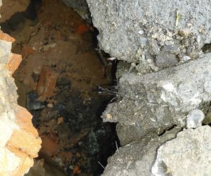 Historyczne odkrycie podczas naprawy wodociągu