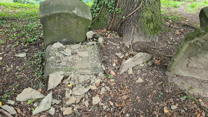 11 i 14-latek zdewastowali nagrobki na Starym Cmentarzu Żydowskim w Cieszynie