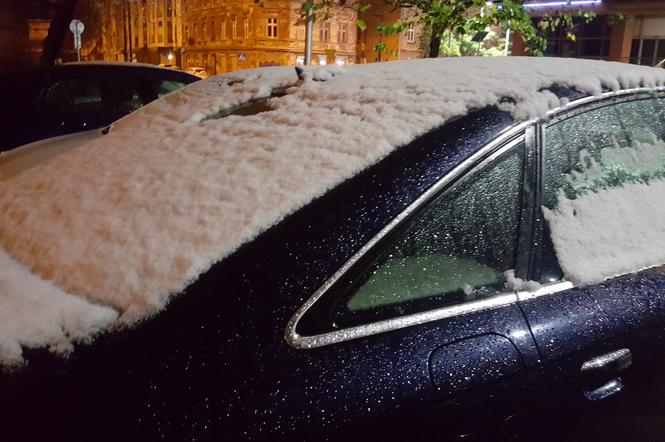 W Bydgoszczy spadł pierwszy śnieg
