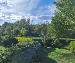 Arboretum Bramy Morawskiej zachwyca jesienią