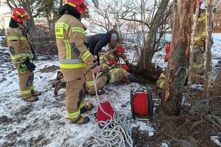 Klacz wpadła do studni. Strażacy uratowali wystraszone zwierzę