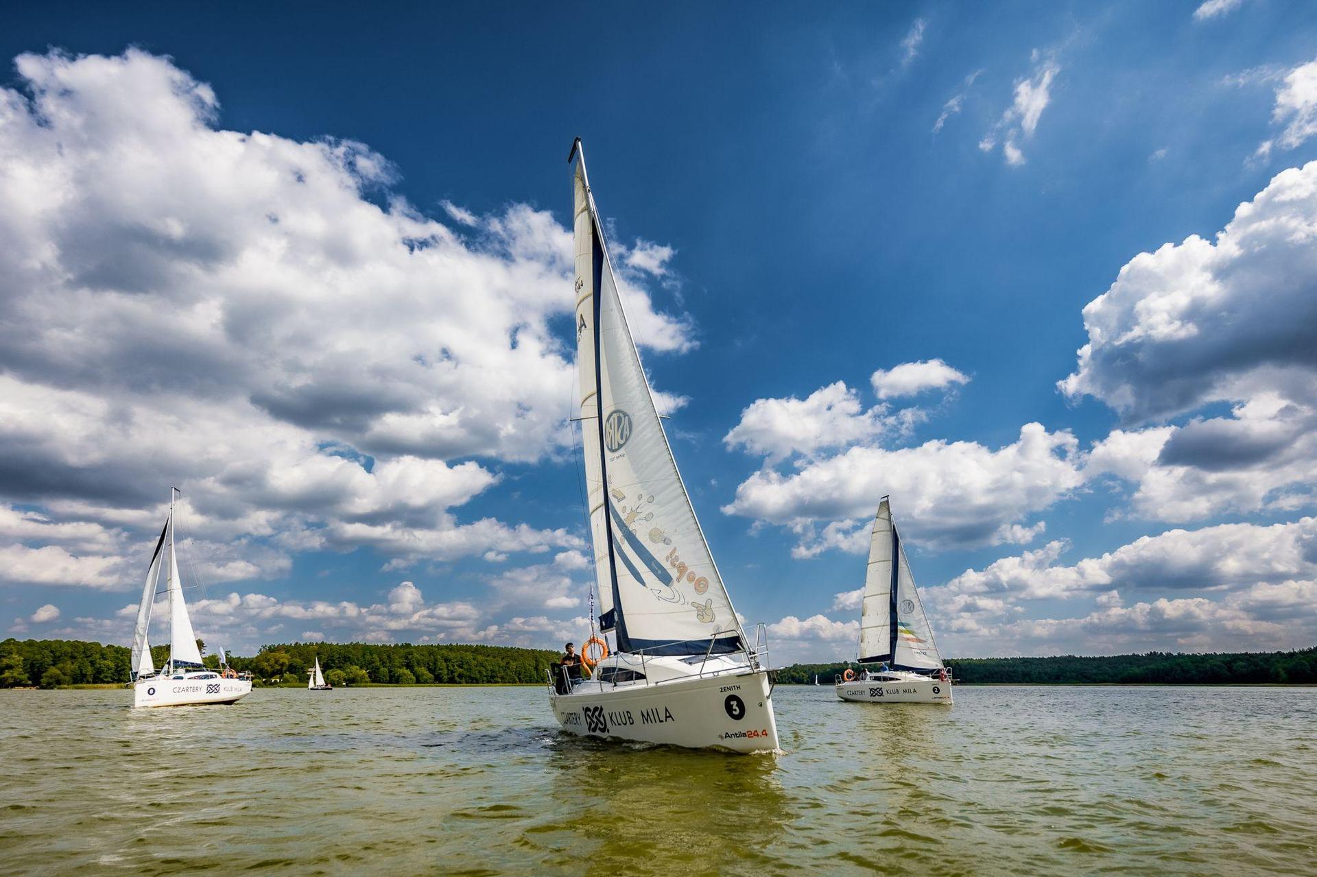 Regaty architektów 2024