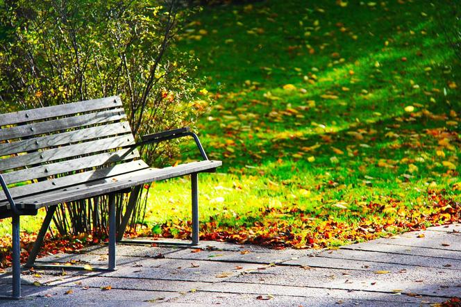 Park kieszonkowy na Białostoczku. Zdecyduj, jak ma wyglądać. Trwają konsultacje