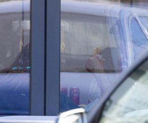 Damięcki i Schejbal wiją wspólne gniazdko? Noszą ciężkie kartony