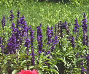 Spacer przez muzyczne serce Bydgoszczy. Park Kochanowskiego zachwyca historią i klimatem