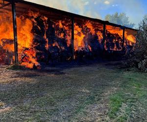 Pożar w Stadzie Ogierów w Łącku pod Płockiem