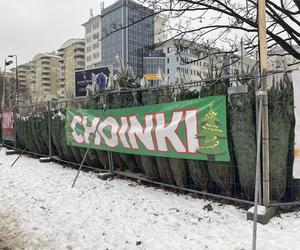 Choinki w Warszawie 2023