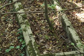 Na zniszczonym cmentarzu widać kości