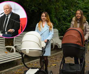 PiS chce odzyskać głosy matek. Wiadomo, ile pieniędzy będą chcieli zapłacić