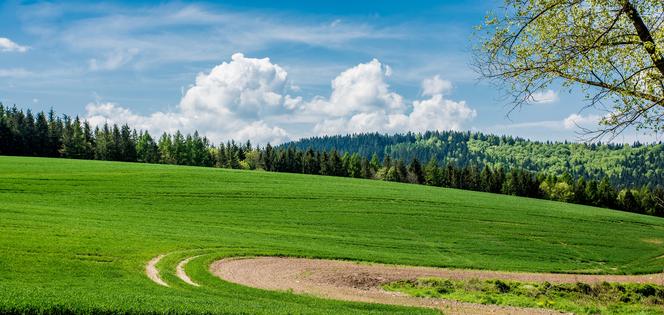 Samorząd województwa dolnośląskiego wspiera obszary wiejskie