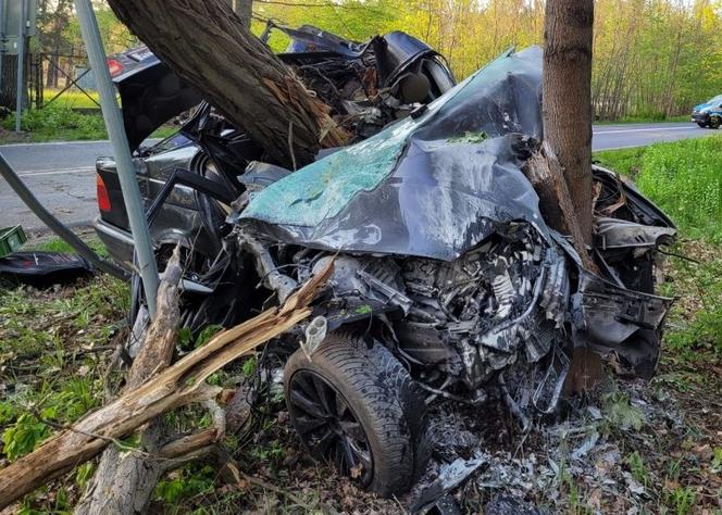 BMW owinęło się wokół drzewa. Koszmarny wypadek w Zielonej Górze