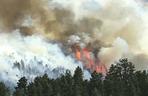 Pożary lasów w USA