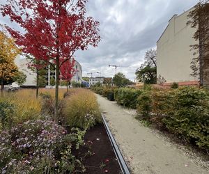 Park im. Wisławy Szymborskiej w Krakowie