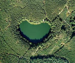 Cud natury ukryty w Lubuskiem! Jak dojechać nad jezioro w kształcie serca? Zobaczcie na te zdjęcia!