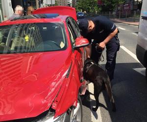 Potrącił policjantów podczas kontroli