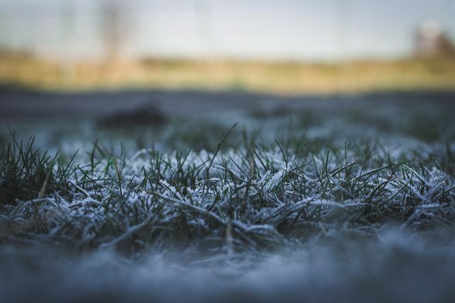 Temperatura spadnie do -2 stopni, do tego wichury 100 km/h. Tutaj będzie najgorzej  