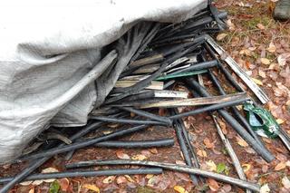 Ktoś zaśmieca gniewkowskie lasy. Ogromne worki ze śmieciami znalezione w pobliżu Godzięby