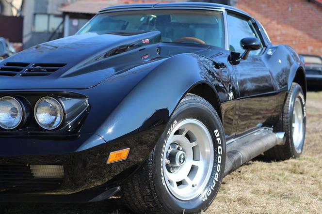 Chevrolet Corvette C3 Kamila Bednarka
