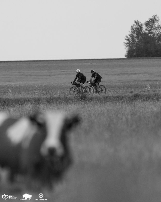 Ultra Duch Puszczy – sześć tras, tysiące emocji i jeden Duch, który jednoczy ludzi i rowery