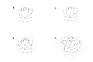 Jak narysować różę? Przykładowy szkic róży