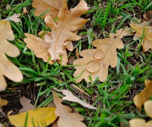 Życzenia na siódmą rocznicę ślubu. Piękne, oryginalne i wzruszające propozycje