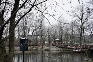 Nowe kaczkomaty w Krakowie. Wiemy, gdzie się znajdują!